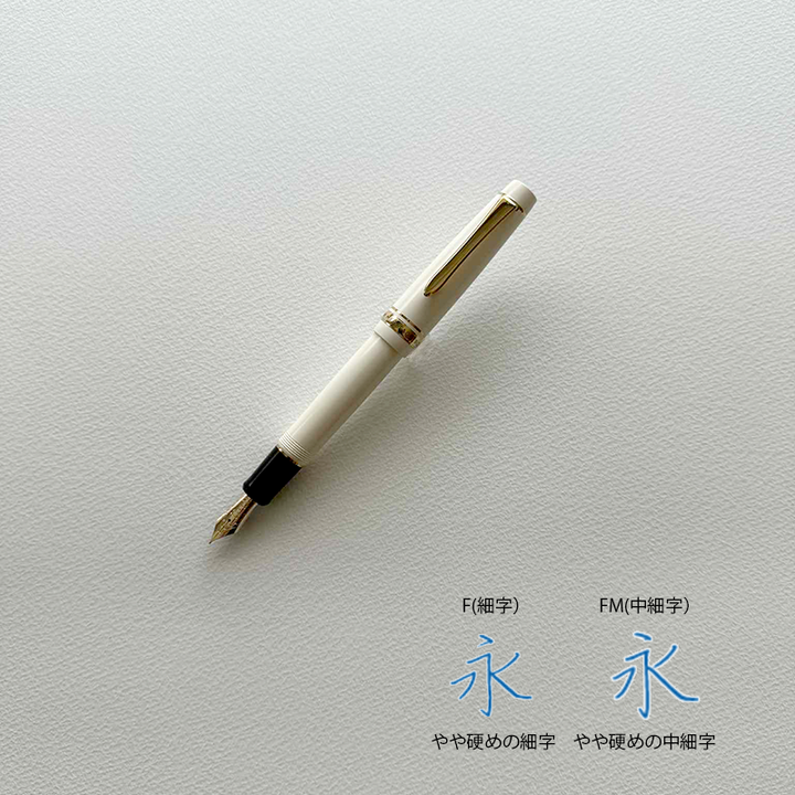 【限定品】パイロット　万年筆　カスタムヘリテイジ912　Bon Voyage「出航」のセット内のペン先詳細。